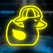 Black Duck Detailing
