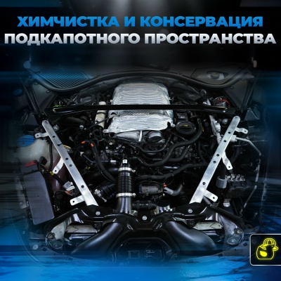 Фото: Подкапотное: чистка и консервация